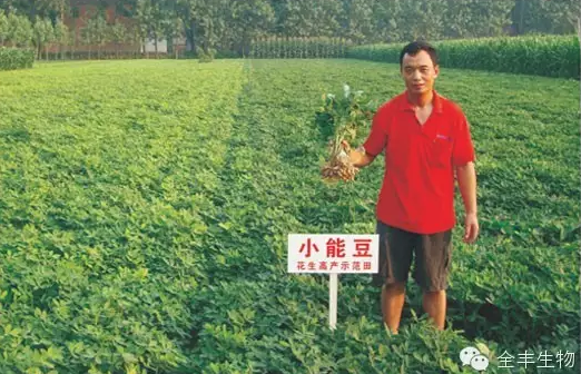 [Plant protection technology] Key points of practical management technology for high-yield cultivation of spring flower