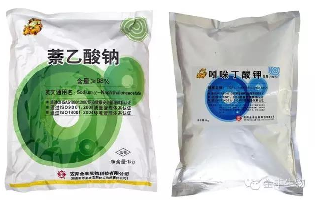 [Application of plant regulators] The use of indobutyric acid, naphthoic acid and other plant regulators in cutting